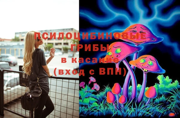 твердый Вяземский