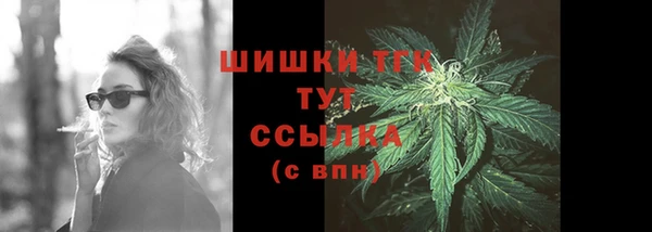 твердый Вяземский
