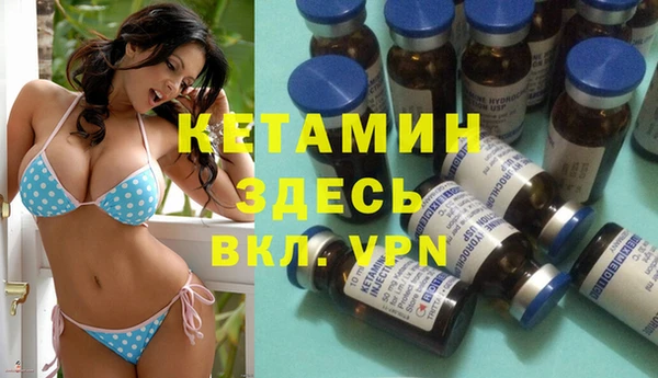 твердый Вяземский
