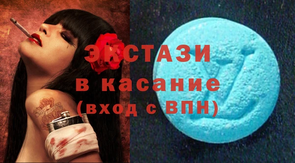 твердый Вяземский