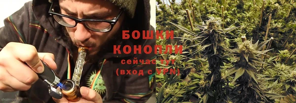 твердый Вяземский