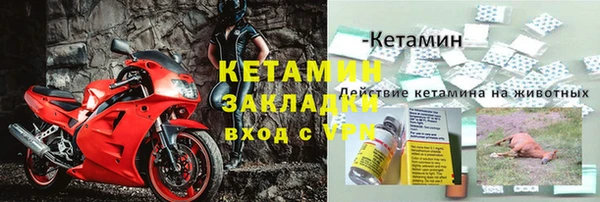 твердый Вяземский