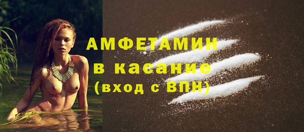 твердый Вяземский