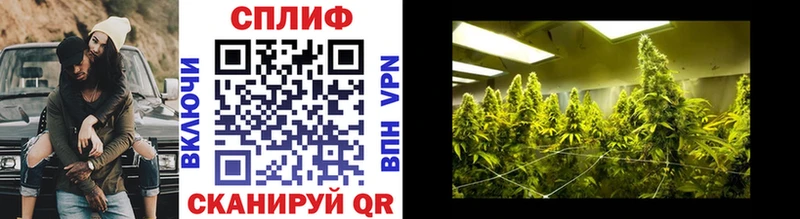 Каннабис OG Kush  Элиста 